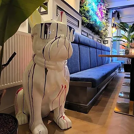 Pauw Hotel 3*