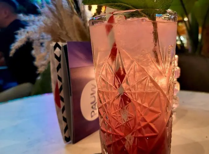 Pauw 酒店 奈梅亨