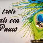 Pauw Hotel